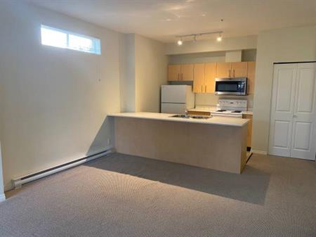 Large bright 1 Bed Condo in Saanich East