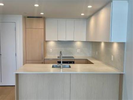 $2,200/mo - Brand NEW 1 bedroom - Downtown Victoria - NEST by Chard