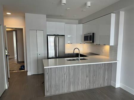 Brand new 1 bedroom 1 bathroom unit in Langley