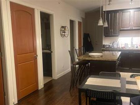 2 bed 2 bath + den condo