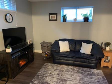 2 Bed Room Air Conditioned Downtown Basement Suite