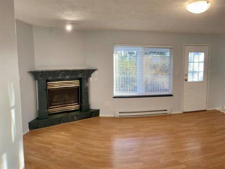 Spacious 3Br + 1Ba Ground Level Suite