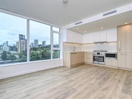 2 bedroom 2 bath near Lougheed Skytrain and Mall (HYDRO INCLUDED)