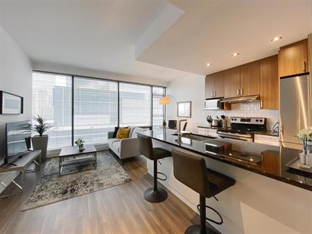 1 Bedroom - 1380 René-Lévesque Ouest, Montréal