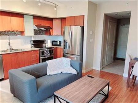 Pet Friendly Fully-Furnished 1 Bedroom + Den available