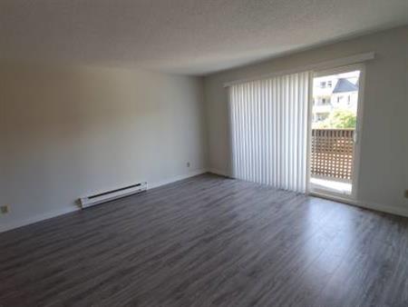 Renovated 1-Bed 1-Bath Unit in Mount Pleasant