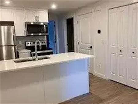 Newly built 2-bedroom ,1 bath Legal Secondary Suite in Silverton | Calgary