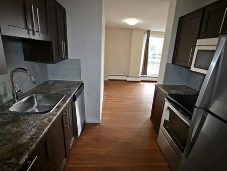 LARGE 2 BDRM. UNITS AVAILABLE OCTOBER 1ST! *927-14TH AVE. S.W.* | 927-14th Avenue S.W., Calgary