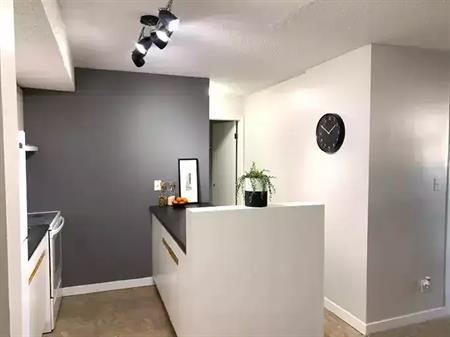 Lower Floor - HUGE 1 Bdrm Suite - UNIQUE LAYOUT - Available September 1st | 5820 58A Street, Red Deer