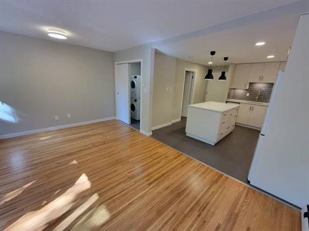 Renovated, Large Cat Friendly Studio With In-Suite Laundry