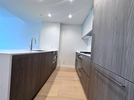 Brand New 2 Bedroom Bear Mountain Condo