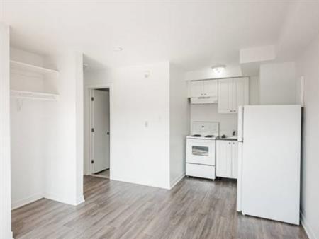 Semi-Renovated Spacious and Bright Studio (2 ½) in Rosemont