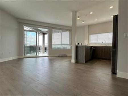 Brand New 2 Bed 2 Bath Apartment