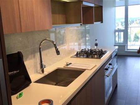 1 Bedroom Apartment for Rent near King George Skytrain