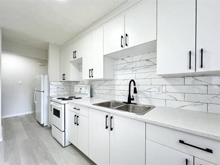 Brand new renovated 2 bedroom suite -10 min walk to U of C