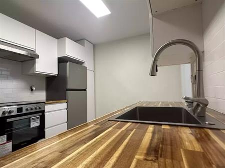 Fully Renovated 2 Bedroom, 1 Bath Suite – 2nd Floor (New Appliances) | 172 Maryland Street, Winnipeg