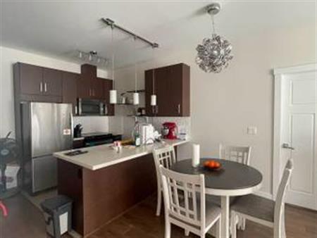 Penthouse 2 bed 2 bath condo in Metrotown