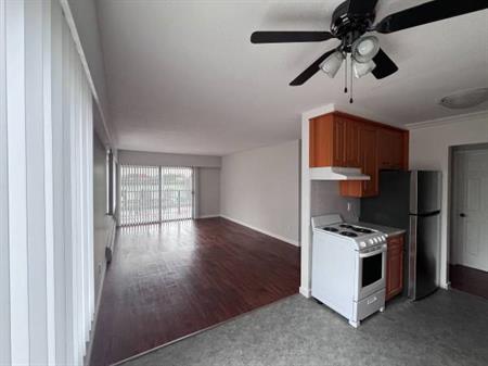 MOVE IN Ready - Spacious and Renovated 1-Bedroom Apartment