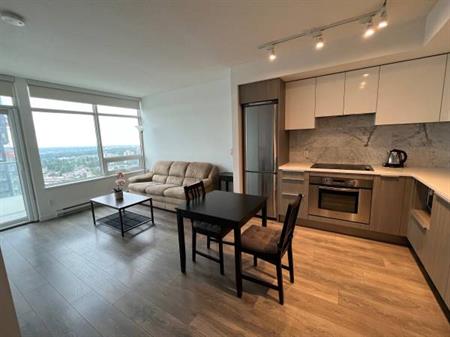 Metrotown 1B1B+Den beautiful apartment fully furnished