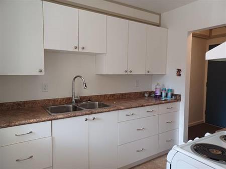 2 bedrooom 1 bathroom apartment in 55+ building downtown