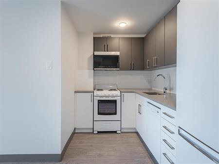 1 Bedroom - 3605 Saint Urbain, Montréal