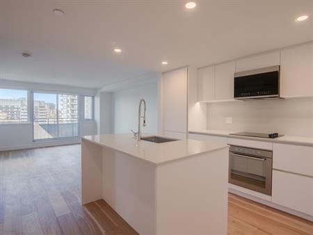 Brand New 3 1/2 Apartment Close To McGil