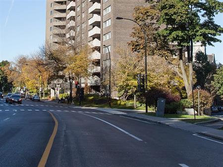 195 Côte-Ste-Catherine Road - 1 Bedroom - 195 Chemin De La Côte-Sainte-Catherine, Montréal