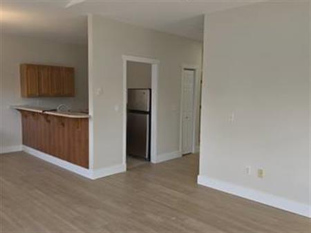 2 bed 2 bath apartment