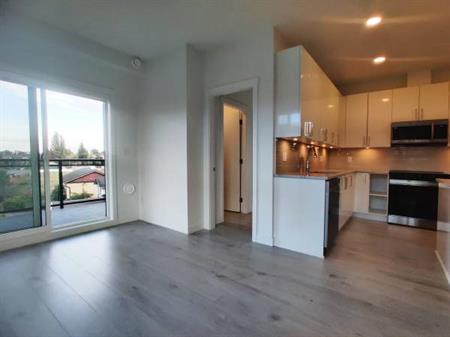 Brand new! 2 bed 2 bath + Den