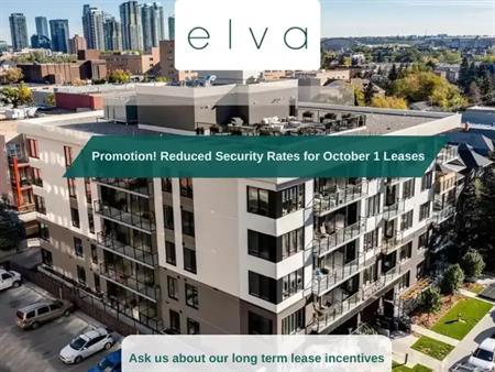 Elva | 320 25 Ave SW, Calgary