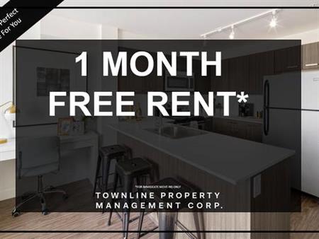 RENT NOW 2 bed 2 bath! 1 MONTH FREE RENT!!!