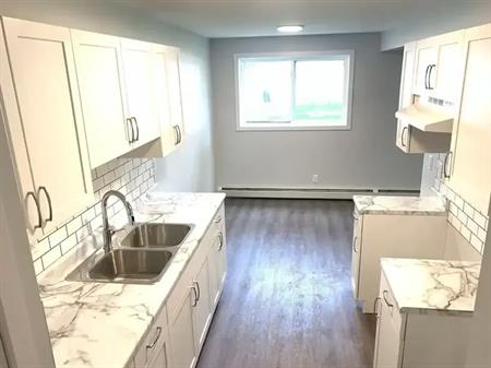 Unit # 102 - Brand NEW, Fully Renovated, Beautiful 1 Bedroom Apartment for rent | 10020 151 Street Northwest, Edmonton