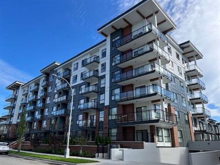 Stunning, brand new 2BR &Den Penthouse Corner Suite @ Canvas / Langley