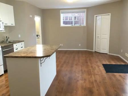 Bright open basement suite | Calgary