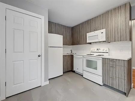 GORGEOUS FULLY RENOVATED MAIN FLOOR WITH AN OUTSTANDING LOCATION! | 2723 16A Street NW, Calgary