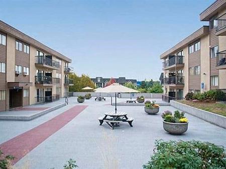 Coquitlam, 1bed/bath, $500.00 security deposit, quartz counters