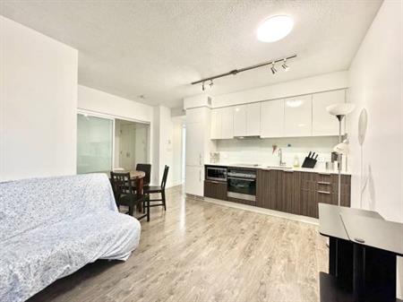 Downtown Centre One Bedroom Condo for Rent