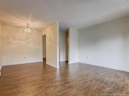 Richmond Huge One Bedroom Condo for Rent