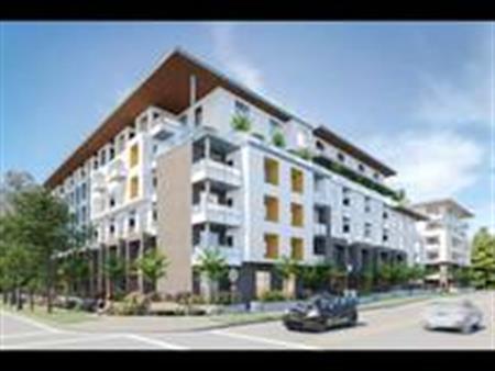 1 bed 1 bath apartment for rent brand new