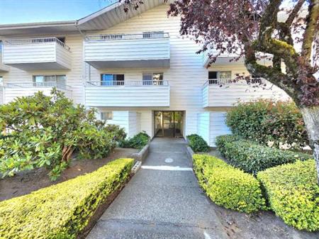 Newly Renovated 1 br Apartment Uptown New Westminster Available Now