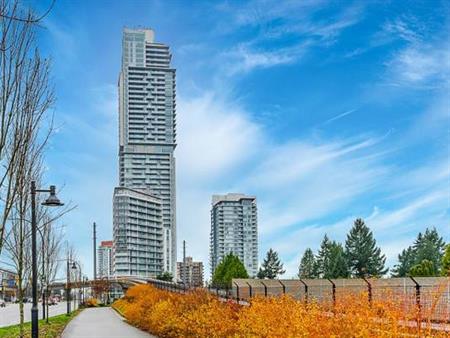 Burquitlam 1 Br Apartment for Rent