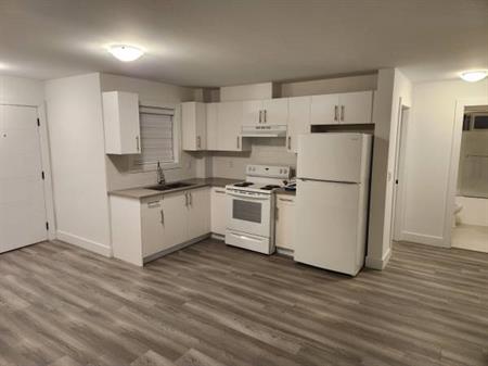 2 Bedroom 1 bath brand new