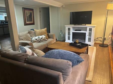 FURNISHED 1br/1bth COOK ST VILLAGE