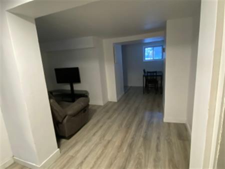 Fully Renovated 3 1/2 Unit