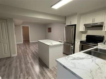 Large 1 bedroom + 1 bath - Basement suite