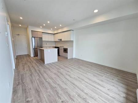 Brand New 1 Bed 1 Bath 550 sq. ft. *Penthouse* Courtyard Facing