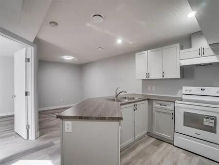 New 1Bedrm Suite--Move-In Ready--Pet Friendly...All Credit Scores Welcomed | 27 Ebbers Close, Edmonton