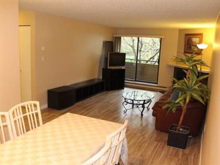 CENTRAL RICHMOND spacious 2 Bedroom Apartment