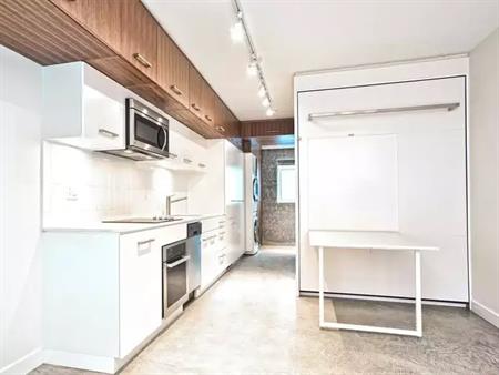 Beautiful Studio Apartment in Chinatown | 245 East Georgia Street, Vancouver