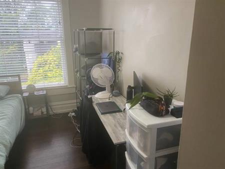 *** Apartment in Downtown***